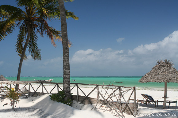palm trees and thatch shade umbrellas paje beach resort