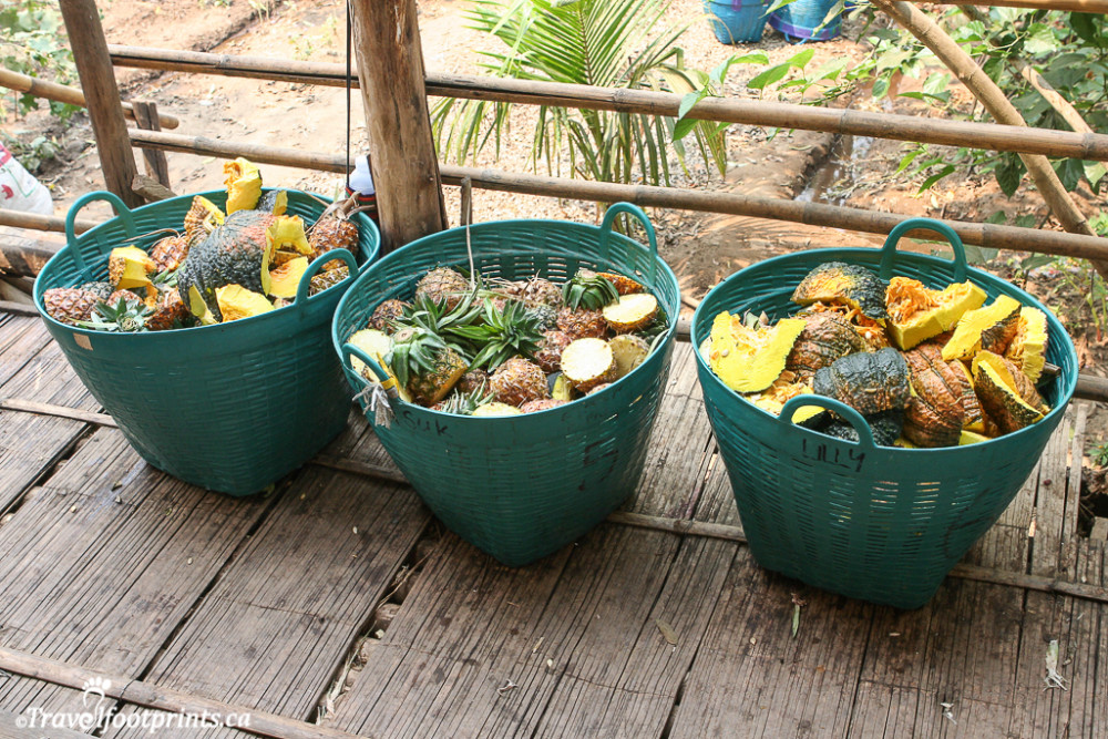 baskests of food for feeding at the elephant nature park
