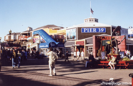 Activity on Pier 39 Sanfrancisco