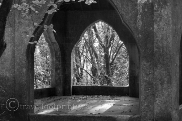 forest-walk-pena-palace-sintra-portugal-castle-arch