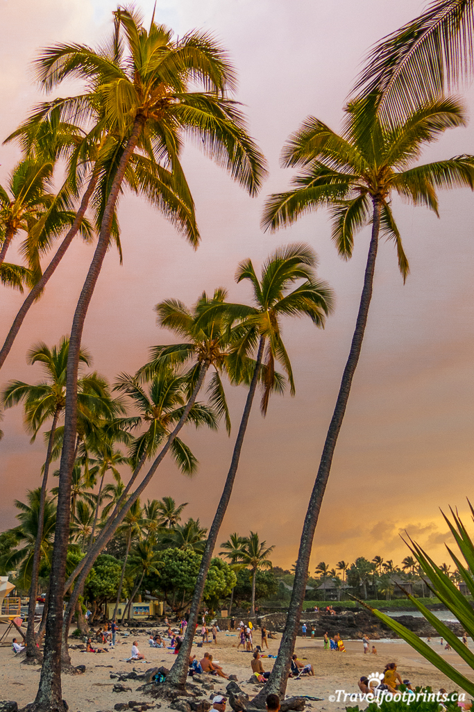 palm trees on beach with hawaii sunset